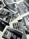 Black & White Film Developing
