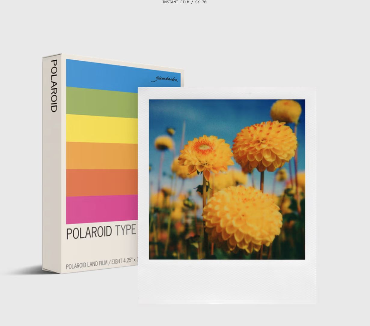 Polaroid SX-70 Paul Giambarda Edition 8 sheets